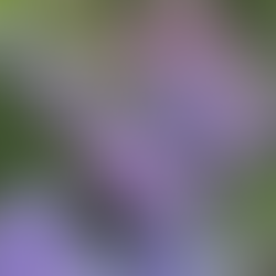 愛である自分と身体とこの世界