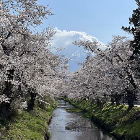 自分の成長を認める