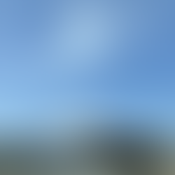 無条件に愛する