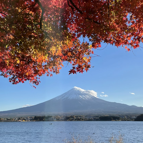 変化するということは