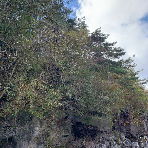 愛の世界の優しさ