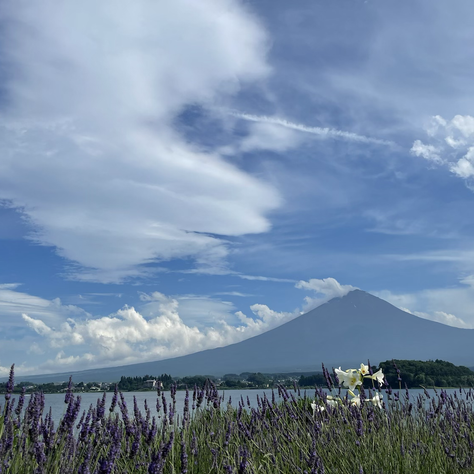 私たちに必要なもの