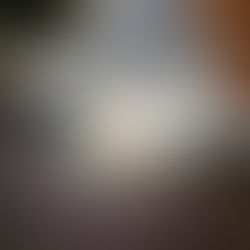 美しい世界の中で