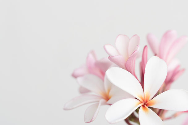 AdobeStock_113225594.jpeg