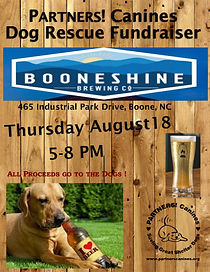 Booneshine flyer 2022.jpg
