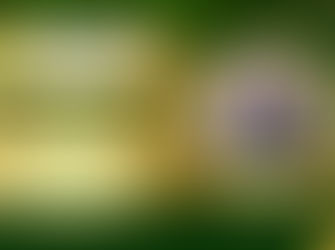 รางวัลเชิดชูเกียรติ อาจารย์ต้นแบบด้านการสอน ปี 2567