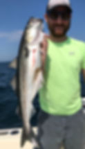 Atlantic Pollock Fishing 