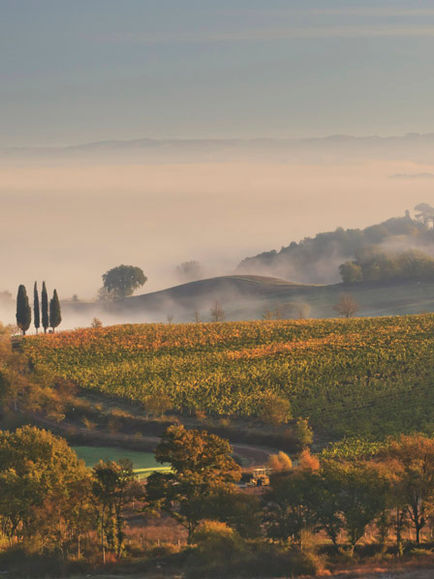 Castiglion del Bosco - Toscane