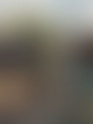 Le Royal Malewane - Parc Kruger