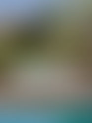 Château de Feuilles - Seychelles