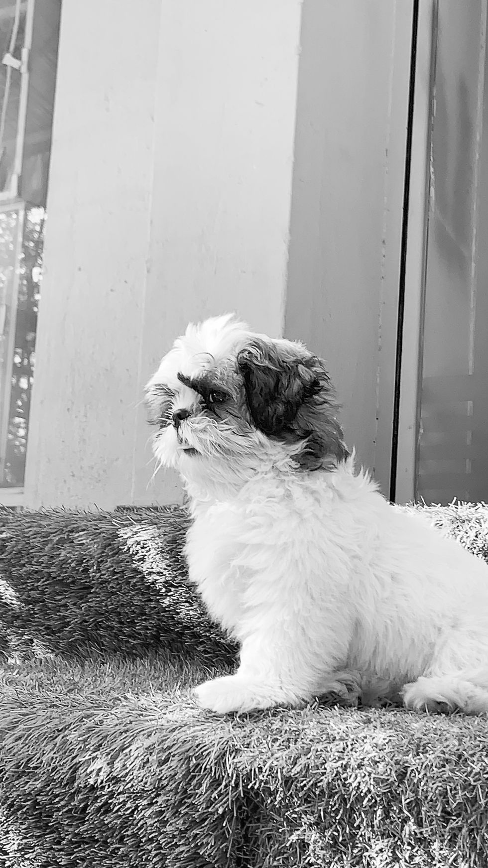 IMG_0063 2_edited.jpg