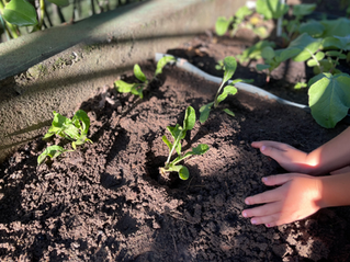 Na Uirandê, as crianças aprendem desde cedo que a natureza é parte essencial de quem somos.