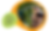 Site Autonomia, curiosidade