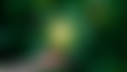 Descubre cómo hacer que tu próximo evento sea sostenible