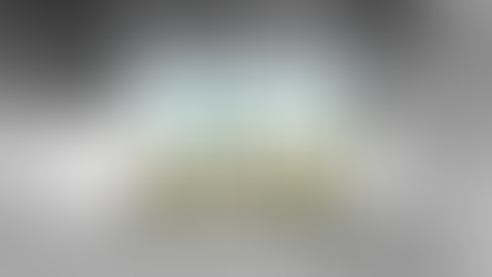 Las entradas para Fyre Festival 2 se agotaron en minutos