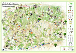 Colinele Transilvanaiei