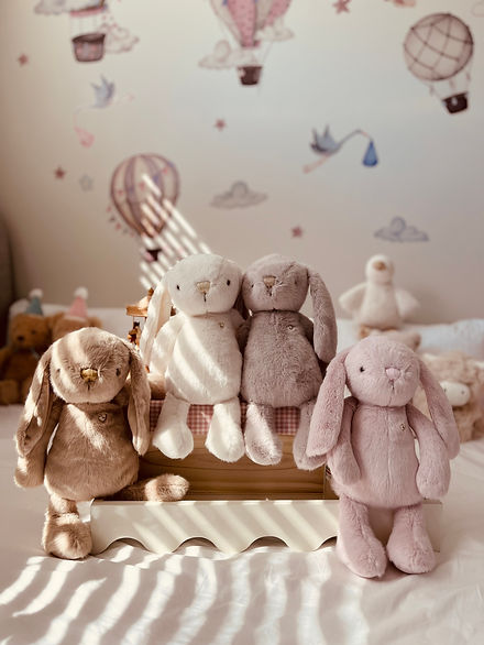 2025.07.31_JK Bunnies 1.jpg