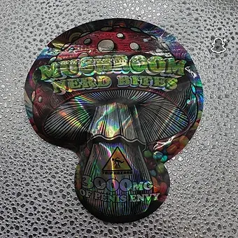 a09cc1_8021e38e22c04c138a5cb1a36be656ea~mv2 (1).webp