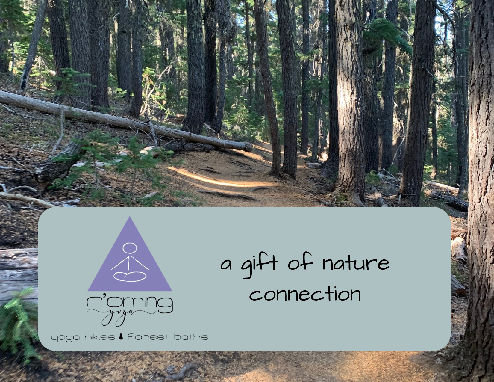 Forest Bathing Experience Gift Card