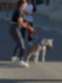 Screenshot 2026-04-18 at 12.48.08.png