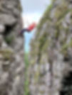 Welcome to NCOA Rappel abseiling in WNC.jpg