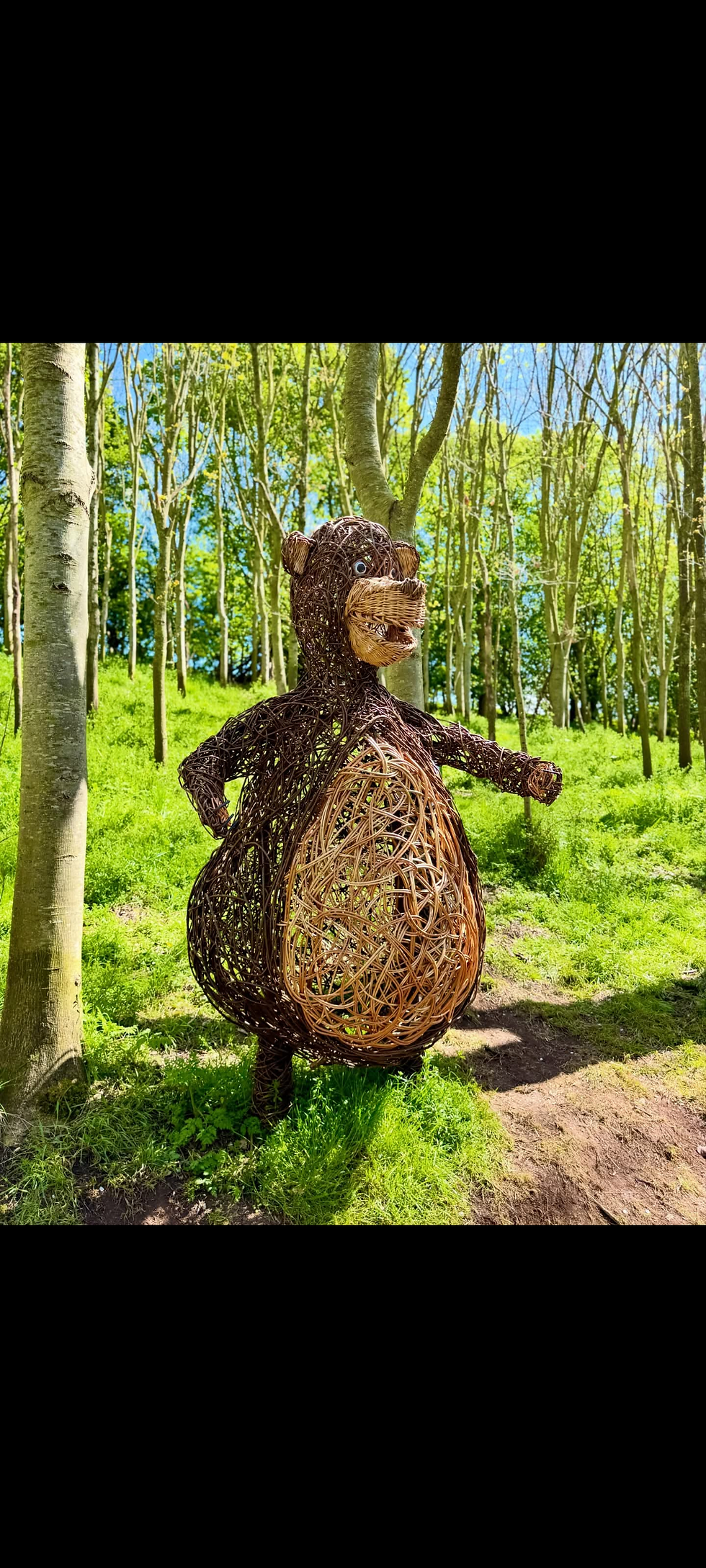 Jungle Book Willow Trail