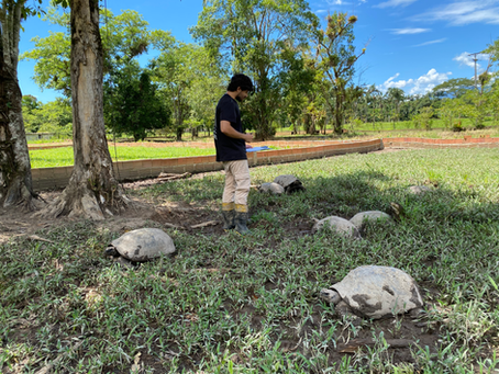Trajetórias de Sucesso: Conheça o Monitor Caio Henrique.