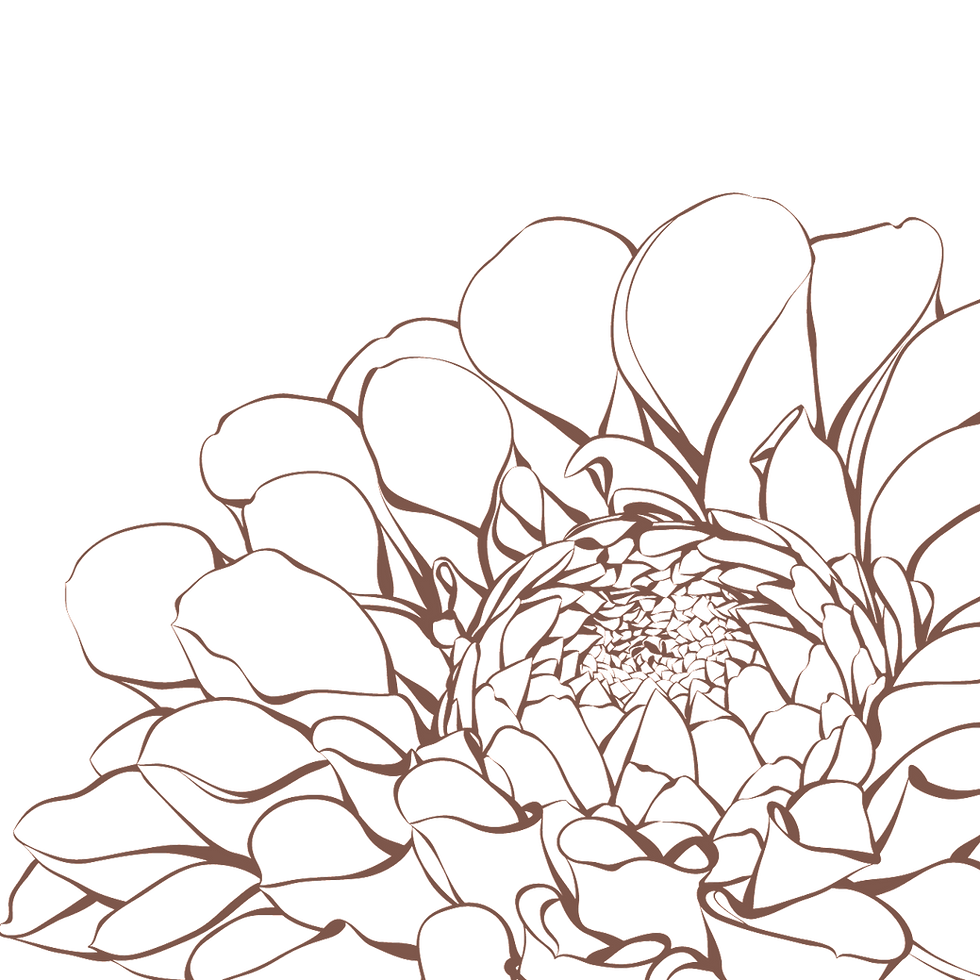 outline_dalia_4_edited.png