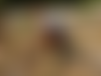 Editorial: Riverside