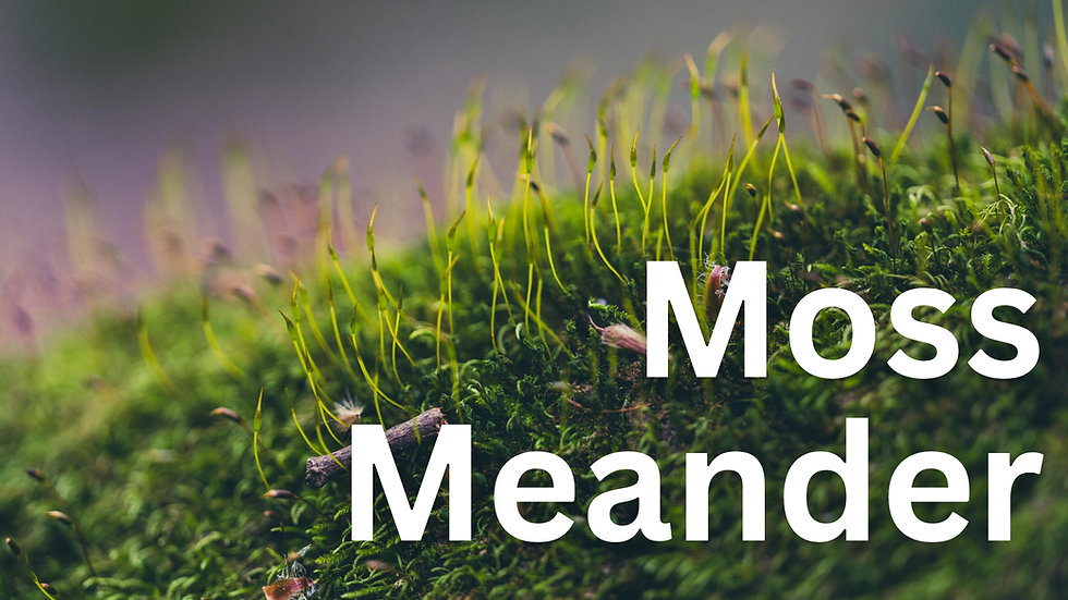 Moss Meander