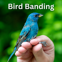 Public Programs Insta Posts (12).png