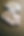 pexels-leeloothefirst-5428832.jpg