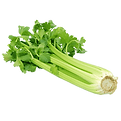 png-clipart-celery-vegetable-chinese-cabbage-brussels-sprout-grandma-natural-foods-leaf-ve