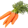 Wortels-1-S-D-698_edited.png
