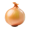ui-ui-eten-een-ui-een-ui-png-clipart-geisoleerd-op-een-transparante-achtergrond_888962-97_