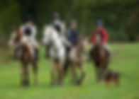 269 KSB Benbow Stables Hound Ex 290919(J