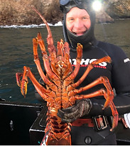 Steve Sawyer Lobster Fishing