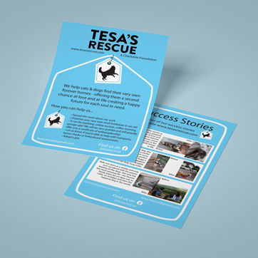 Tesa's Rescue Flyer