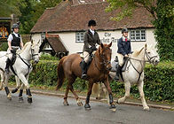 096 KSB Benbow Stables Hound Ex 290919(J