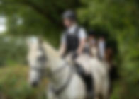 485 KSB Benbow Stables Hound Ex 290919(J