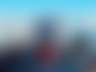 BH Marine Consulting