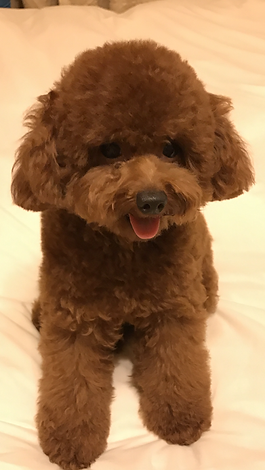 AM-JKLXxP9aJU4OhyO-BqIhCYAkDBliGEYYYf-cB3Kzf9ljl0M878srK4c47B7c636EzMaGgVzSi2jD7ziRaVgCj3B