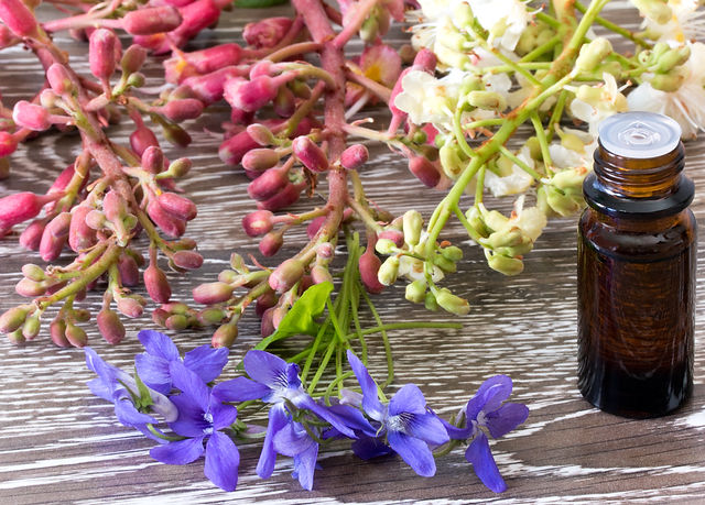 Dropper bottle of bach flower essence on