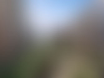 Horlicks Quarter, Slough