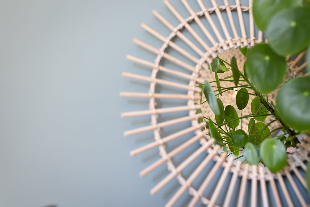 Nurture-Shine-Aug2022 (133 of 135).jpeg