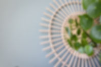 Nurture-Shine-Aug2022 (133 of 135).jpeg