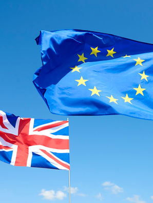 MGA Operating Model (Post Brexit)