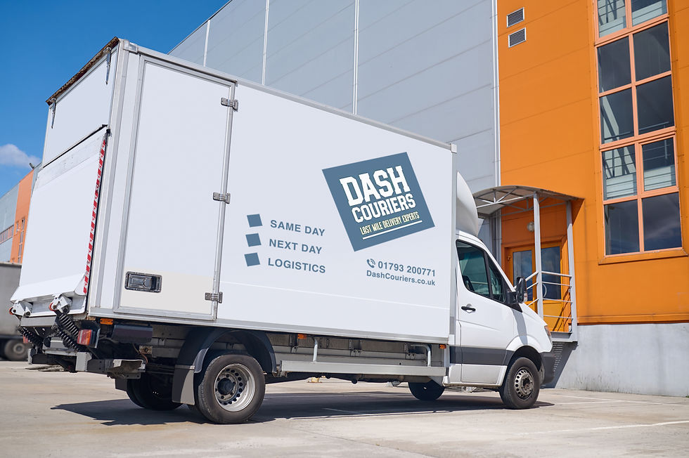 Dash-Large-Van-01.jpg