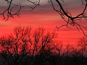 Winter sunset