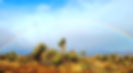 Screenshot_20240330_083428_Gallery.jpg